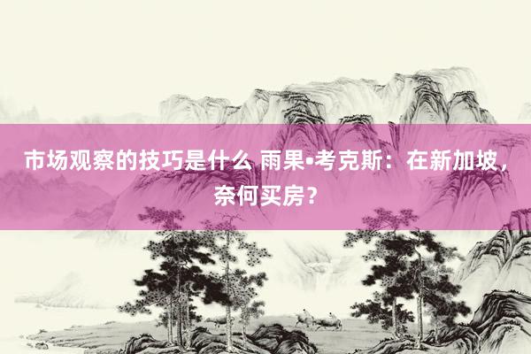 市场观察的技巧是什么 雨果•考克斯：在新加坡，奈何买房？