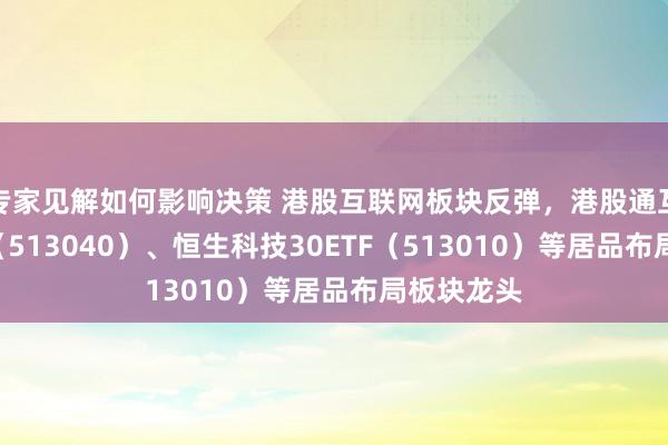 专家见解如何影响决策 港股互联网板块反弹，港股通互联网ETF（513040）、恒生科技30ETF（513010）等居品布局板块龙头