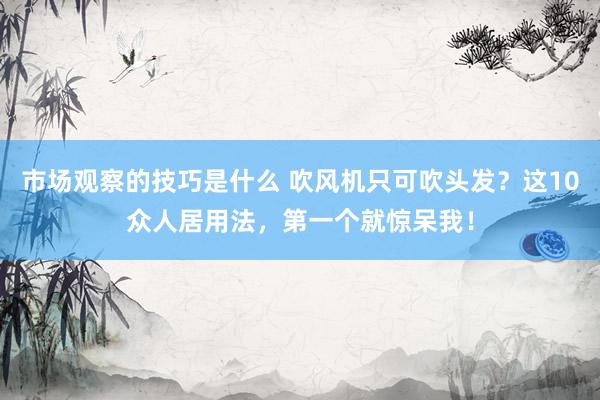 市场观察的技巧是什么 吹风机只可吹头发？这10众人居用法，第一个就惊呆我！