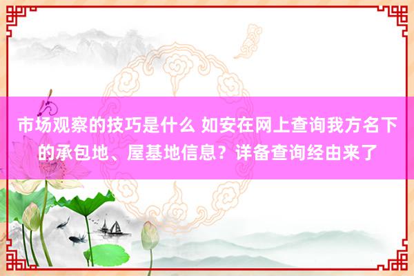 市场观察的技巧是什么 如安在网上查询我方名下的承包地、屋基地信息？详备查询经由来了