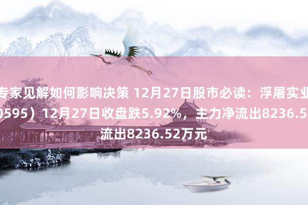 专家见解如何影响决策 12月27日股市必读：浮屠实业（000595）12月27日收盘跌5.92%，主力净流出8236.52万元