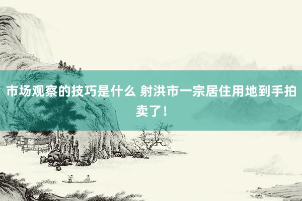 市场观察的技巧是什么 射洪市一宗居住用地到手拍卖了！