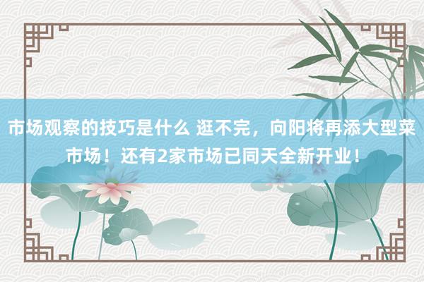 市场观察的技巧是什么 逛不完，向阳将再添大型菜市场！还有2家市场已同天全新开业！