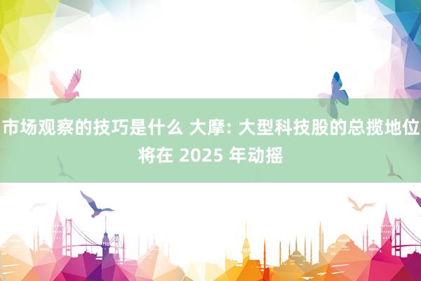 市场观察的技巧是什么 大摩: 大型科技股的总揽地位将在 2025 年动摇