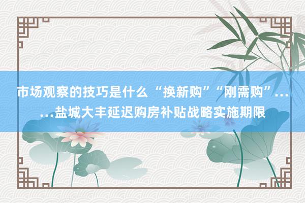 市场观察的技巧是什么 “换新购”“刚需购”……盐城大丰延迟购房补贴战略实施期限