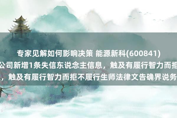 专家见解如何影响决策 能源新科(600841)控股的上汽红岩汽车有限公司新增1条失信东说念主信息，触及有履行智力而拒不履行生师法律文告确界说务行径