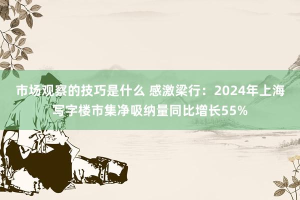 市场观察的技巧是什么 感激梁行：2024年上海写字楼市集净吸纳量同比增长55%