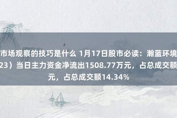 市场观察的技巧是什么 1月17日股市必读：瀚蓝环境（600323）当日主力资金净流出1508.77万元，占总成交额14.34%