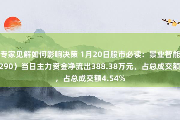 专家见解如何影响决策 1月20日股市必读：景业智能（688290）当日主力资金净流出388.38万元，占总成交额4.54%