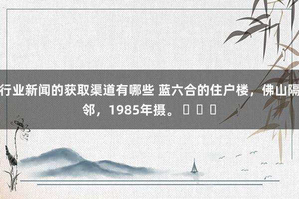 行业新闻的获取渠道有哪些 蓝六合的住户楼，佛山隔邻，1985年摄。 ​​​