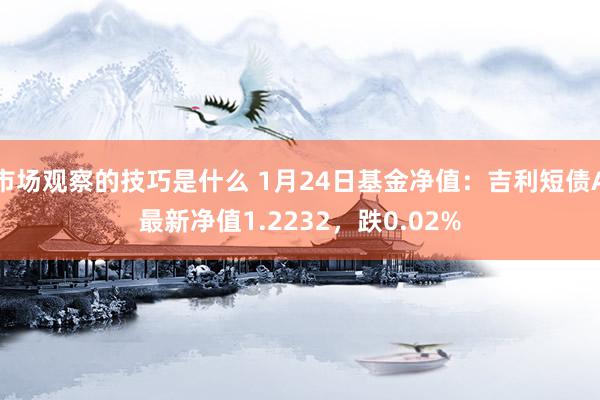 市场观察的技巧是什么 1月24日基金净值：吉利短债A最新净值1.2232，跌0.02%