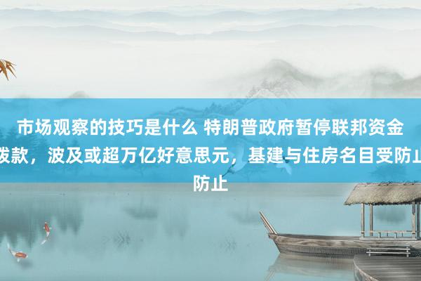 市场观察的技巧是什么 特朗普政府暂停联邦资金拨款，波及或超万亿好意思元，基建与住房名目受防止