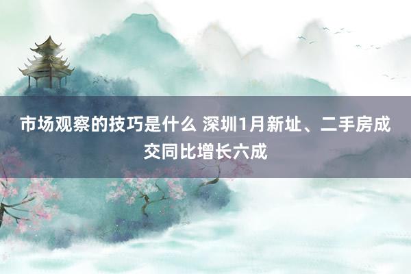 市场观察的技巧是什么 深圳1月新址、二手房成交同比增长六成