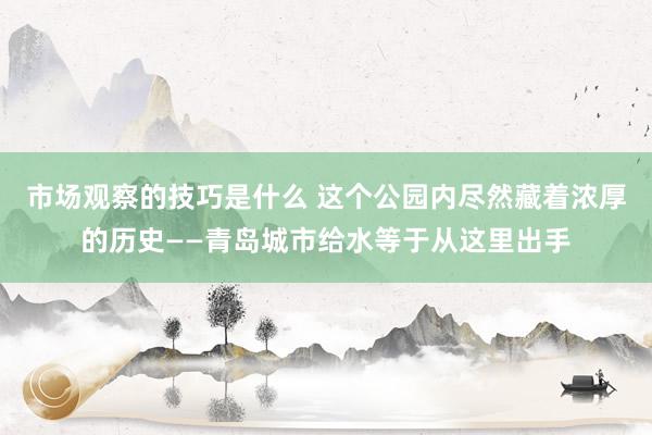 市场观察的技巧是什么 这个公园内尽然藏着浓厚的历史——青岛城市给水等于从这里出手