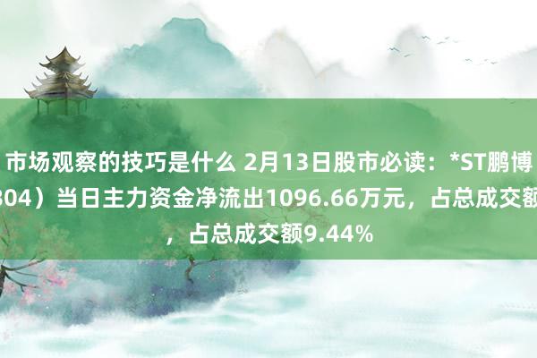 市场观察的技巧是什么 2月13日股市必读：*ST鹏博（600804）当日主力资金净流出1096.66万元，占总成交额9.44%