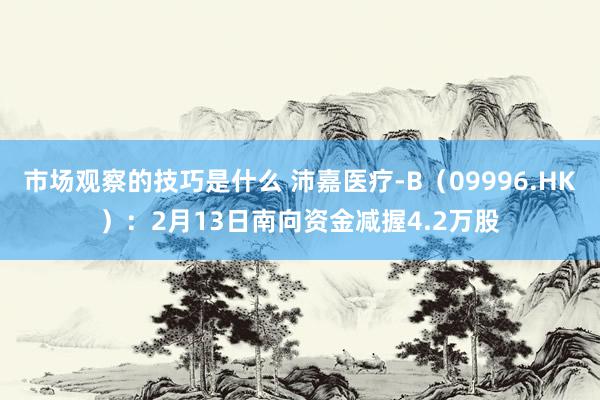 市场观察的技巧是什么 沛嘉医疗-B（09996.HK）：2月13日南向资金减握4.2万股