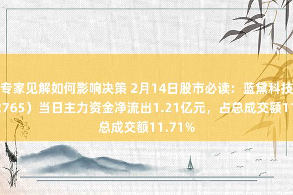 专家见解如何影响决策 2月14日股市必读：蓝黛科技（002765）当日主力资金净流出1.21亿元，占总成交额11.71%