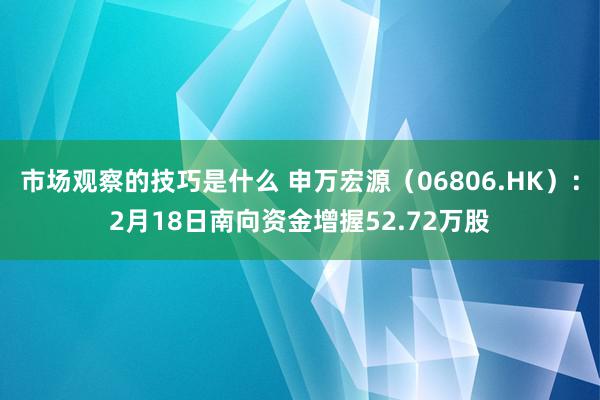 市场观察的技巧是什么 申万宏源（06806.HK）：2月18日南向资金增握52.72万股