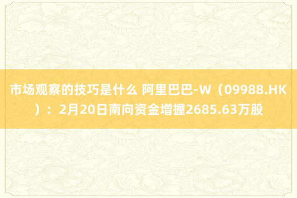 市场观察的技巧是什么 阿里巴巴-W（09988.HK）：2月20日南向资金增握2685.63万股