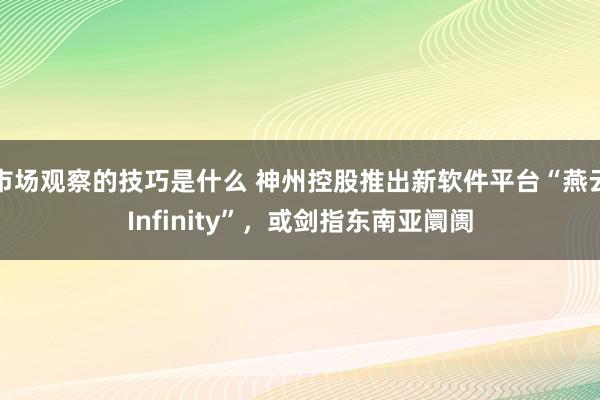 市场观察的技巧是什么 神州控股推出新软件平台“燕云Infinity”，或剑指东南亚阛阓