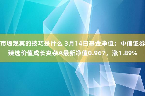 市场观察的技巧是什么 3月14日基金净值：中信证券臻选价值成长夹杂A最新净值0.967，涨1.89%