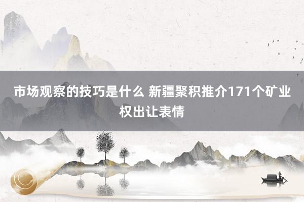 市场观察的技巧是什么 新疆聚积推介171个矿业权出让表情